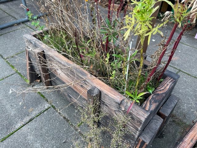 Plant Boxes from charred wood